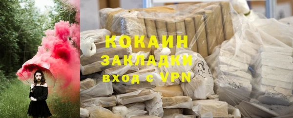 прущие грибы Дмитриев
