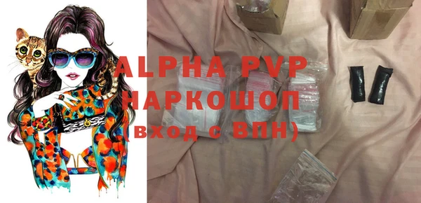прущие грибы Дмитриев