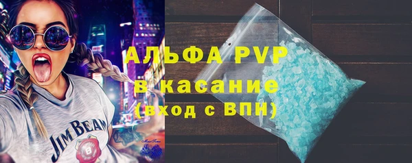прущие грибы Дмитриев