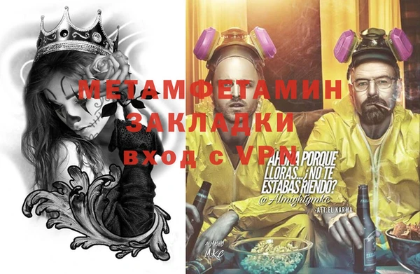 прущие грибы Дмитриев