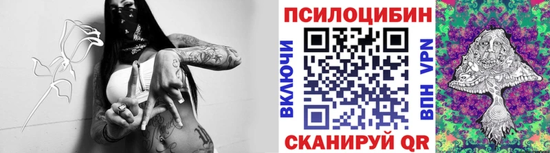 Псилоцибиновые грибы Magic Shrooms  Купить где  Кировск 
